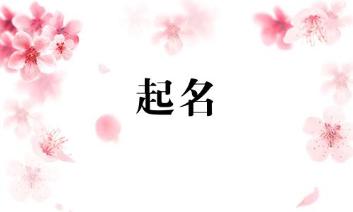 小老虎起名的字有哪些
