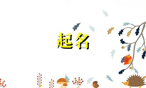 学舞蹈起名软件有哪些好