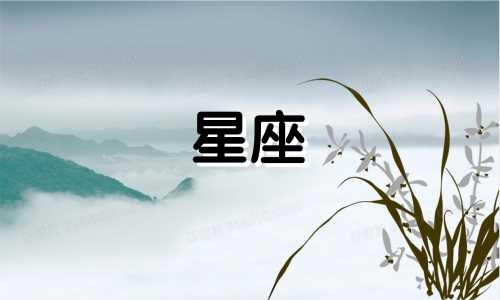 柳岩十二星座床戏多久
