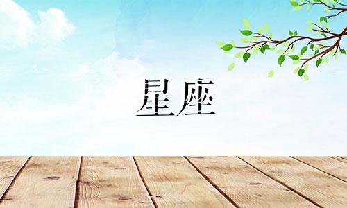 跟12星座恋爱要多久结婚