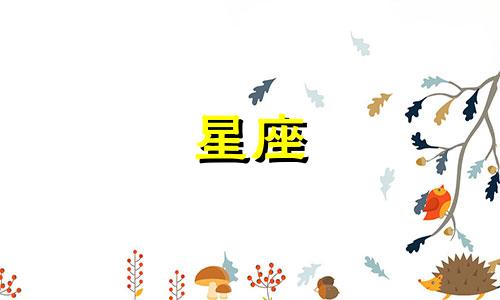 追一个星座要多久才会忘记