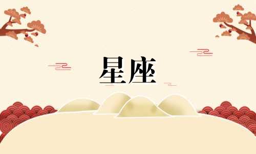 根据星座选魔杖要多久