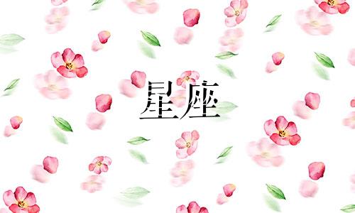 测测星座试题审核多久