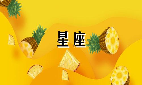 十二星座爱情痴情多久