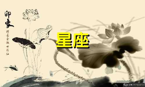 十二星座男会追你多久