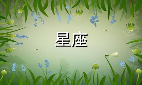 十二星座忘记爱人要多久