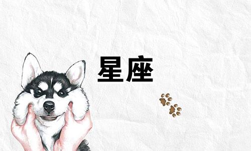 十二星座走出伤情需要多久