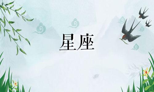 十二星座可以保持多久单身