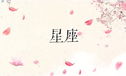 玫瑰星座婚纱摄影开了多久