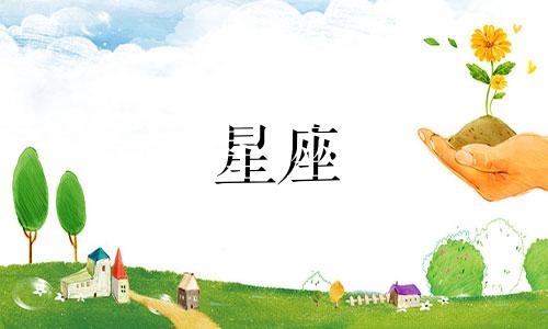 十二星座断联多久算分手