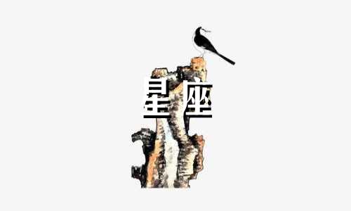 射手多久忘记前女友的星座