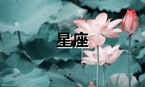 12星座会生气多久不理人