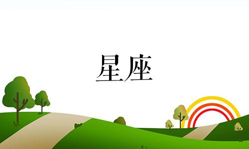 十二星座女可以追男生多久