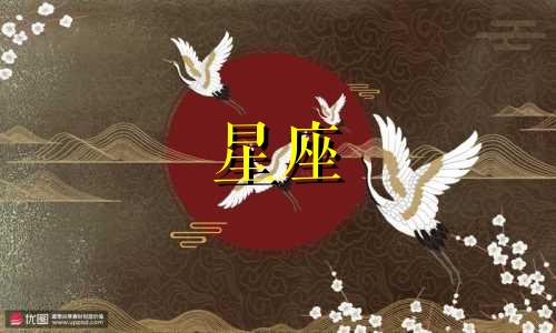 十二星座多久会回信息的
