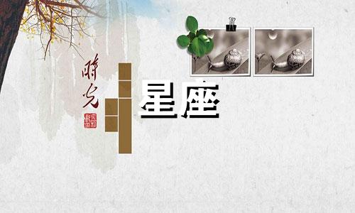 十二星座男认识多久会表白