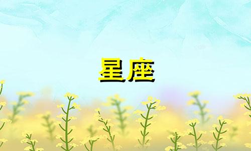 十二星座可以多久不找对象