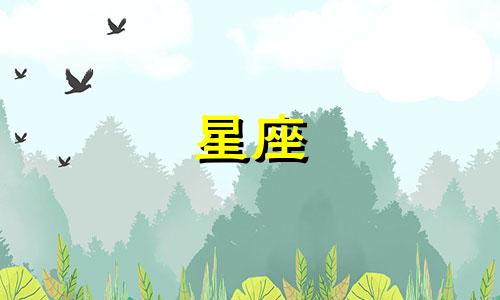 十二星座离婚冷静期多久