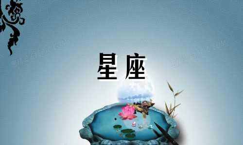 十二星座写作业要多久