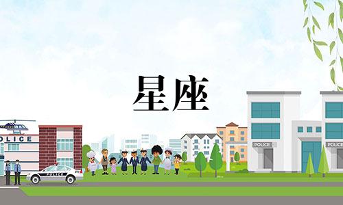 各个星座在后宫活多久