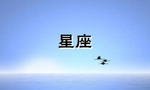 十二星座吵架能吵多久