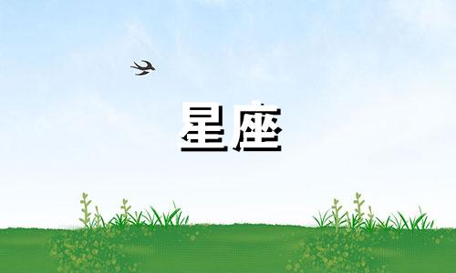 十二星座最长能维持多久