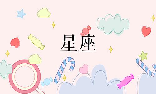 广州玫瑰星座成立多久了