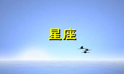 十二星座的人相恋多久