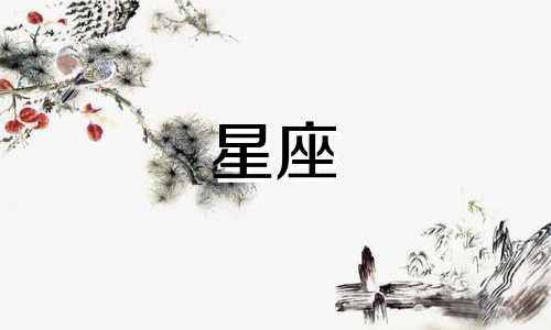 星座密码播出时间多久