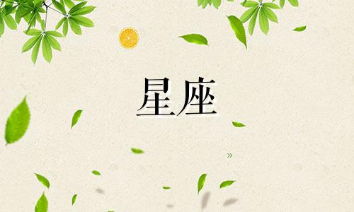 各个星座暗恋多久表白