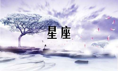 12星座恋爱可以坚持多久