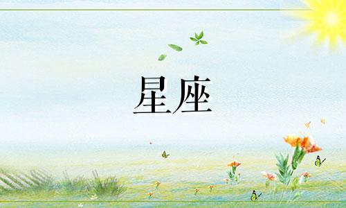 十二星座走出悲伤有多久