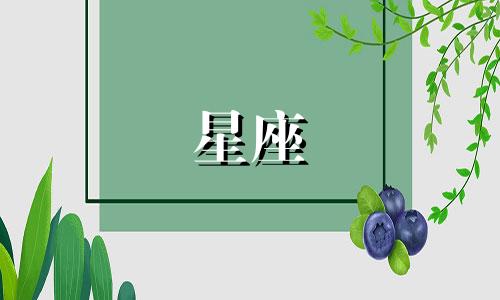 十二星座能忍受女友多久