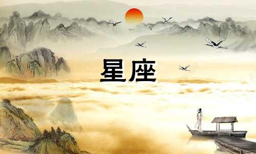 测测星座验证审核要多久