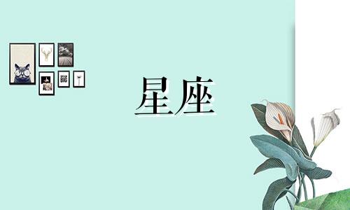 十二星座能等前任多久复合