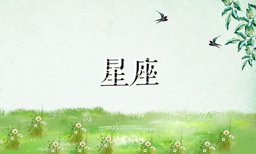 玫瑰星座选片时间多久合适