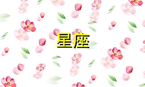 十二星座可以长情多久