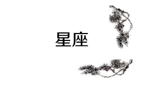 十二星座会单身到多久