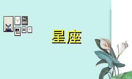 十二星座热恋期有多久