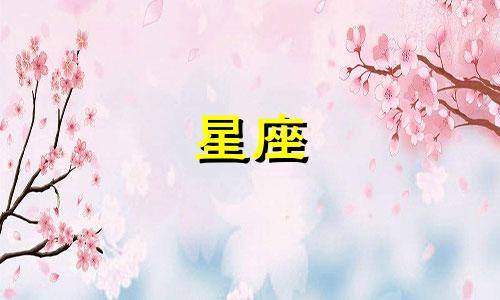 星座节目策划婚礼准备多久