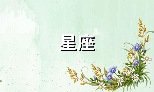 十二星座多久能追到女生