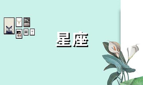 十二星座多久结束单身关系