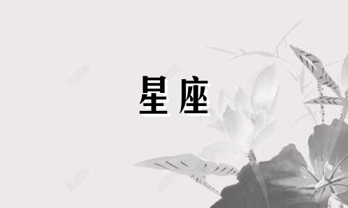 十二星座要单身多久呢