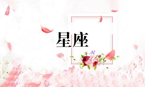 十二星座恋爱多久公开