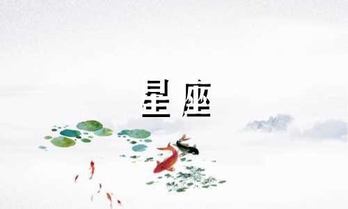 星座空间注册时间多久更新