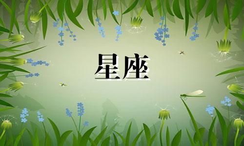 星座月份查询征信记录多久