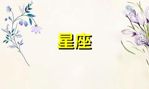 十二星座多久不联系算分手