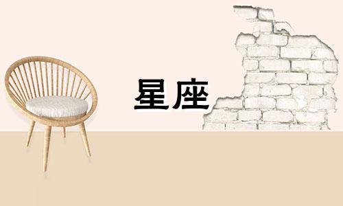 十二星座追人多久会放弃