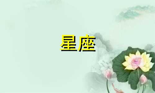 导航到星座广场多久才能到