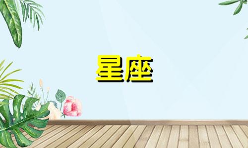 十二星座能忍多久不联系