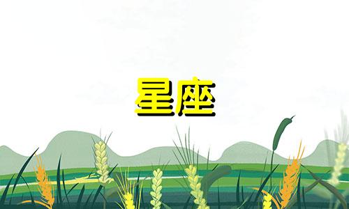 12星座失恋多久会好起来